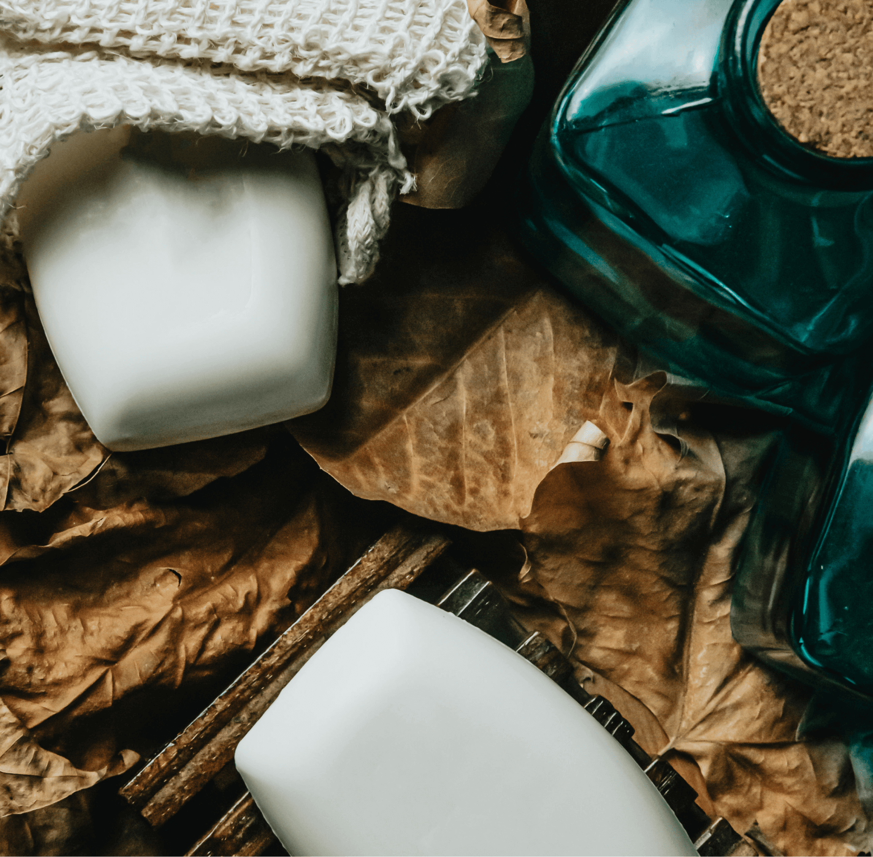 Coconut Scented Bar Soap