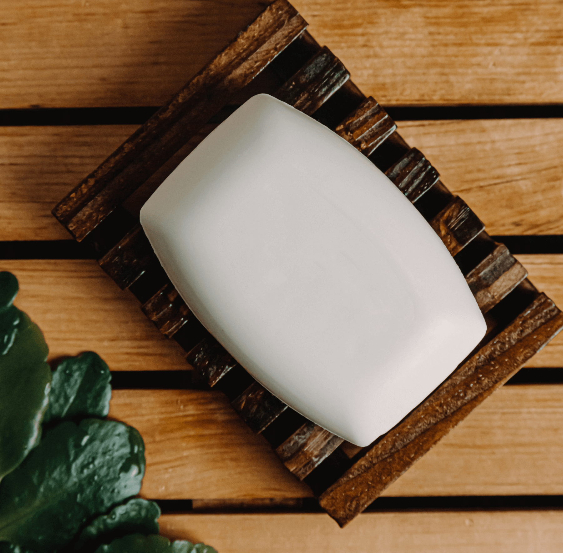 Coconut Scented Bar Soap